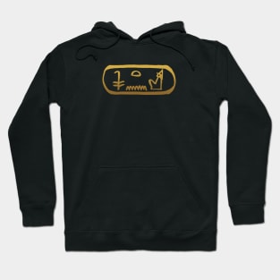 King in Ancient Egyptian Hieroglyphics. Hoodie